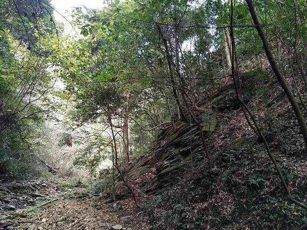 逃离废弃的卡车场