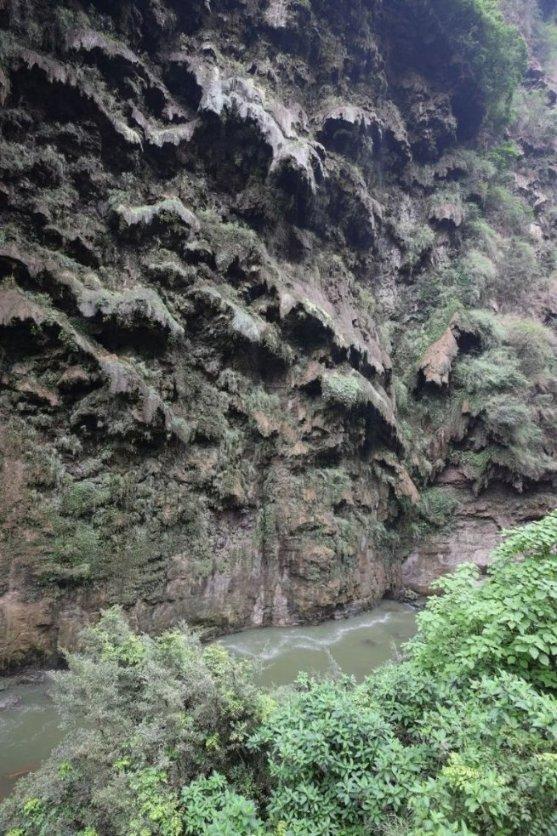 老易、“田鼠大婶”纷纷圆梦,“春晚等着你”后续来了